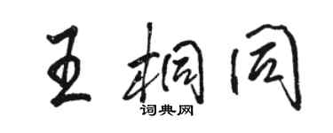 駱恆光王桐同行書個性簽名怎么寫