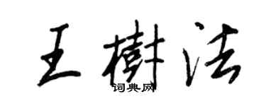 王正良王樹法行書個性簽名怎么寫