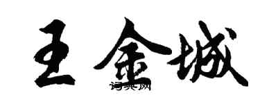 胡問遂王金城行書個性簽名怎么寫