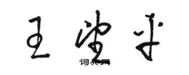 駱恆光王望平草書個性簽名怎么寫