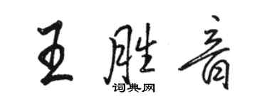 駱恆光王勝音行書個性簽名怎么寫
