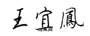 王正良王宜鳳行書個性簽名怎么寫