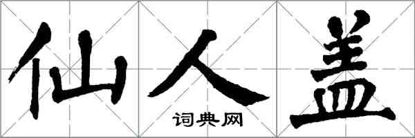 翁闓運仙人蓋楷書怎么寫