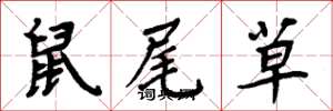 周炳元鼠尾草楷書怎么寫
