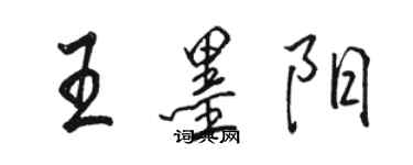 駱恆光王墨陽行書個性簽名怎么寫