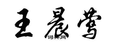 胡問遂王晨鶯行書個性簽名怎么寫