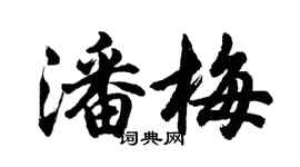 胡問遂潘梅行書個性簽名怎么寫