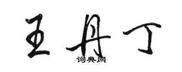 駱恆光王丹丁行書個性簽名怎么寫