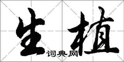 胡問遂生植行書怎么寫