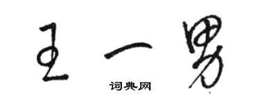 駱恆光王一男草書個性簽名怎么寫