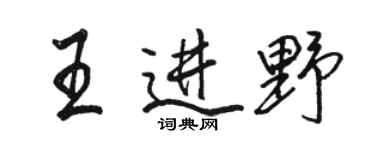 駱恆光王進野行書個性簽名怎么寫