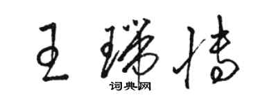 駱恆光王瑞博草書個性簽名怎么寫