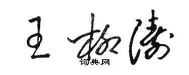 駱恆光王柳濤草書個性簽名怎么寫