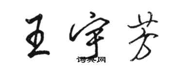 駱恆光王宇芳行書個性簽名怎么寫