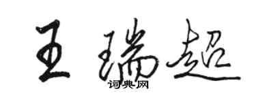 駱恆光王瑞超行書個性簽名怎么寫
