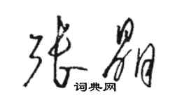 駱恆光張晶草書個性簽名怎么寫