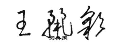 駱恆光王麗彩草書個性簽名怎么寫