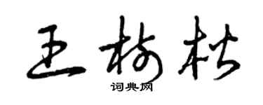 曾慶福王樹楷草書個性簽名怎么寫