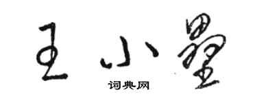 駱恆光王小壘草書個性簽名怎么寫