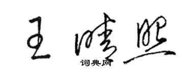 駱恆光王晴照草書個性簽名怎么寫