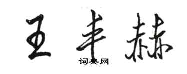 駱恆光王豐赫行書個性簽名怎么寫