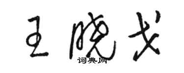 駱恆光王曉戈草書個性簽名怎么寫