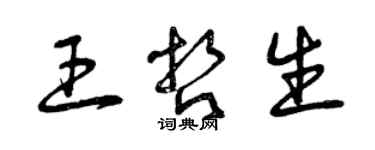 曾慶福王哲生草書個性簽名怎么寫