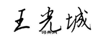 王正良王光城行書個性簽名怎么寫