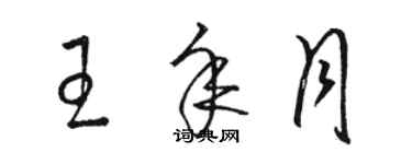 駱恆光王年月草書個性簽名怎么寫