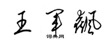 梁錦英王軍飆草書個性簽名怎么寫