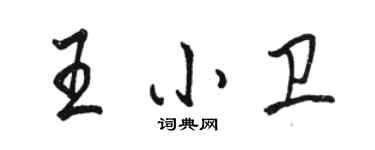 駱恆光王小衛行書個性簽名怎么寫