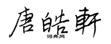 王正良唐皓軒行書個性簽名怎么寫