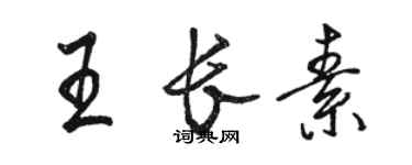 駱恆光王長素行書個性簽名怎么寫