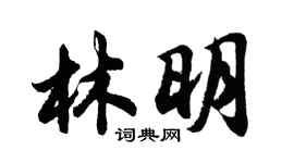 胡問遂林明行書個性簽名怎么寫