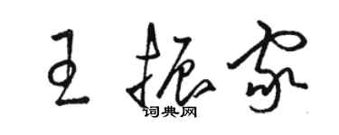 駱恆光王振家草書個性簽名怎么寫