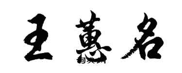 胡問遂王蕙名行書個性簽名怎么寫