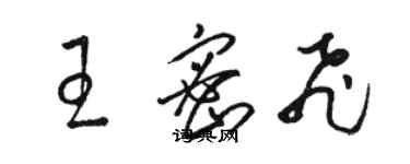 駱恆光王密飛草書個性簽名怎么寫