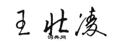 駱恆光王壯凌草書個性簽名怎么寫