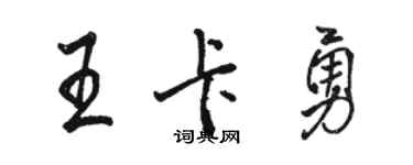 駱恆光王卡勇行書個性簽名怎么寫