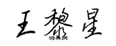王正良王黎星行書個性簽名怎么寫