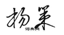 駱恆光楊策草書個性簽名怎么寫