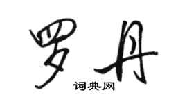 駱恆光羅丹行書個性簽名怎么寫