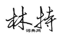 駱恆光林特行書個性簽名怎么寫