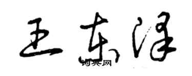 曾慶福王東澤草書個性簽名怎么寫