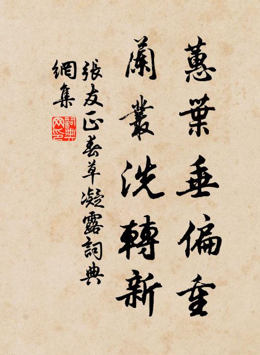 紅紅白白滿方塘，風度人言似六郎 詩詞名句