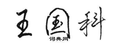 駱恆光王國科行書個性簽名怎么寫