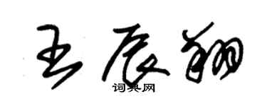 朱錫榮王辰翔草書個性簽名怎么寫