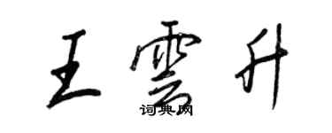 王正良王雲升行書個性簽名怎么寫
