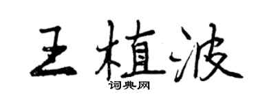 曾慶福王植波行書個性簽名怎么寫