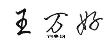 駱恆光王萬好行書個性簽名怎么寫